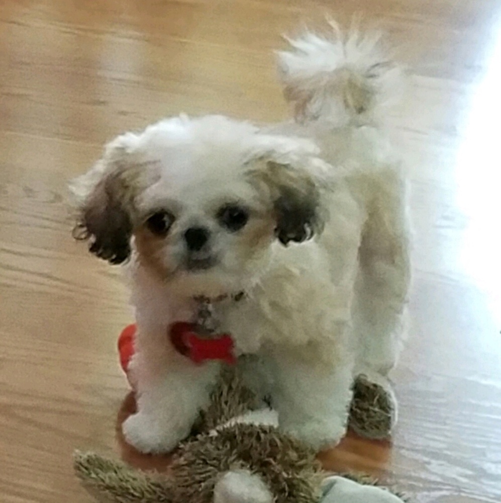 Meet your Posher, Linda